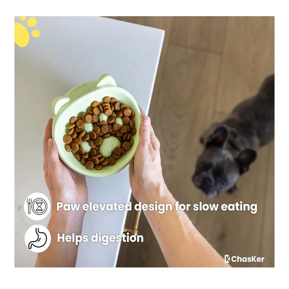 Ceramic Slow Feeder Bowl for Dog or Cat
